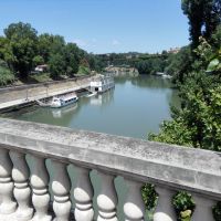 Bateau Tiberis Roma Luglio 2020