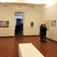 Immagini della mostra